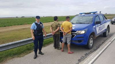 Bell Ville: Detenidos por faenamiento clandestino - Tenían 250 kg de carne vacuna