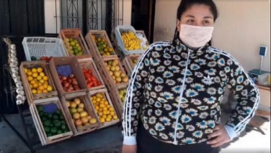 Una salteña de 19 años cobró los diez mil pesos del IFE y se puso una verdulería