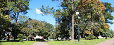 MONTE MAÍZ: NENE CAYÓ DE UN ÁRBOL EN UNA PLAZA