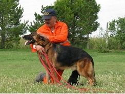 Un perro del departamento de bomberos de Deán Funes, clave en el hallazgo del cuerpo 