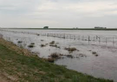 BELL VILLE EN ALERTA POR EL AGUA QUE LLEGA DESDE LOS CAMPOS