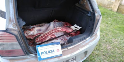 Laborde: VIolación de cuarentena y faena clandestina