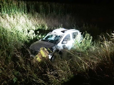 CABALLOS SUELTOS EN LA RUTA 11: AUTO TERMINÓ EN LA BANQUINA