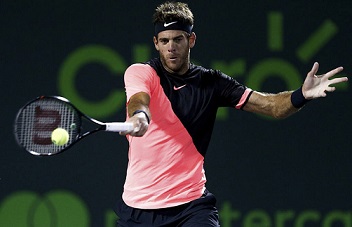 Del Potro ganó una gran batalla y está en semifinales