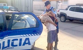 Sorprendió al ladrón en su casa y lo redujo