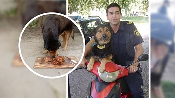 Un policía le hizo un asado a su perro por su cumpleaños