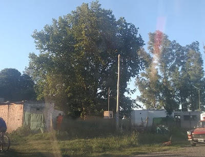 SUCIDIO DE UN JOVEN EN CORRAL DE BUSTOS