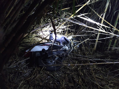 ROBARON EN CORRAL DE BUSTOS - CAYERON EN MONTE MAIZ