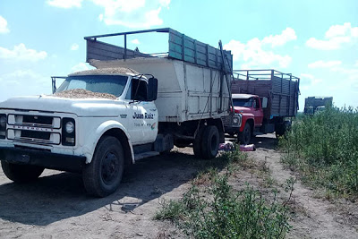 Un joven murió cuando se transportaba entre dos camiones en Silvio Pellico