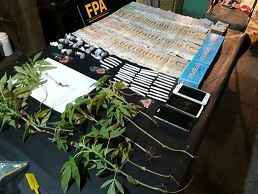 Una mujer detenida por tener 170 plantas de marihuana en su casa
