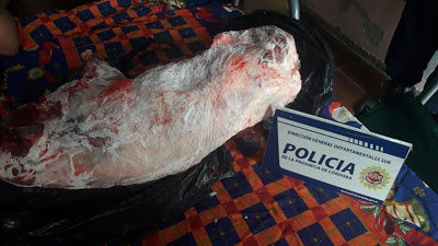ROBARON DOS CORDEROS EN LABORDE - 6 IMPUTADOS
