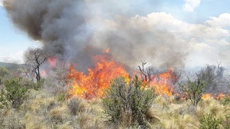 El fuego habría consumido 12 mil hectáreas en Guasapampa